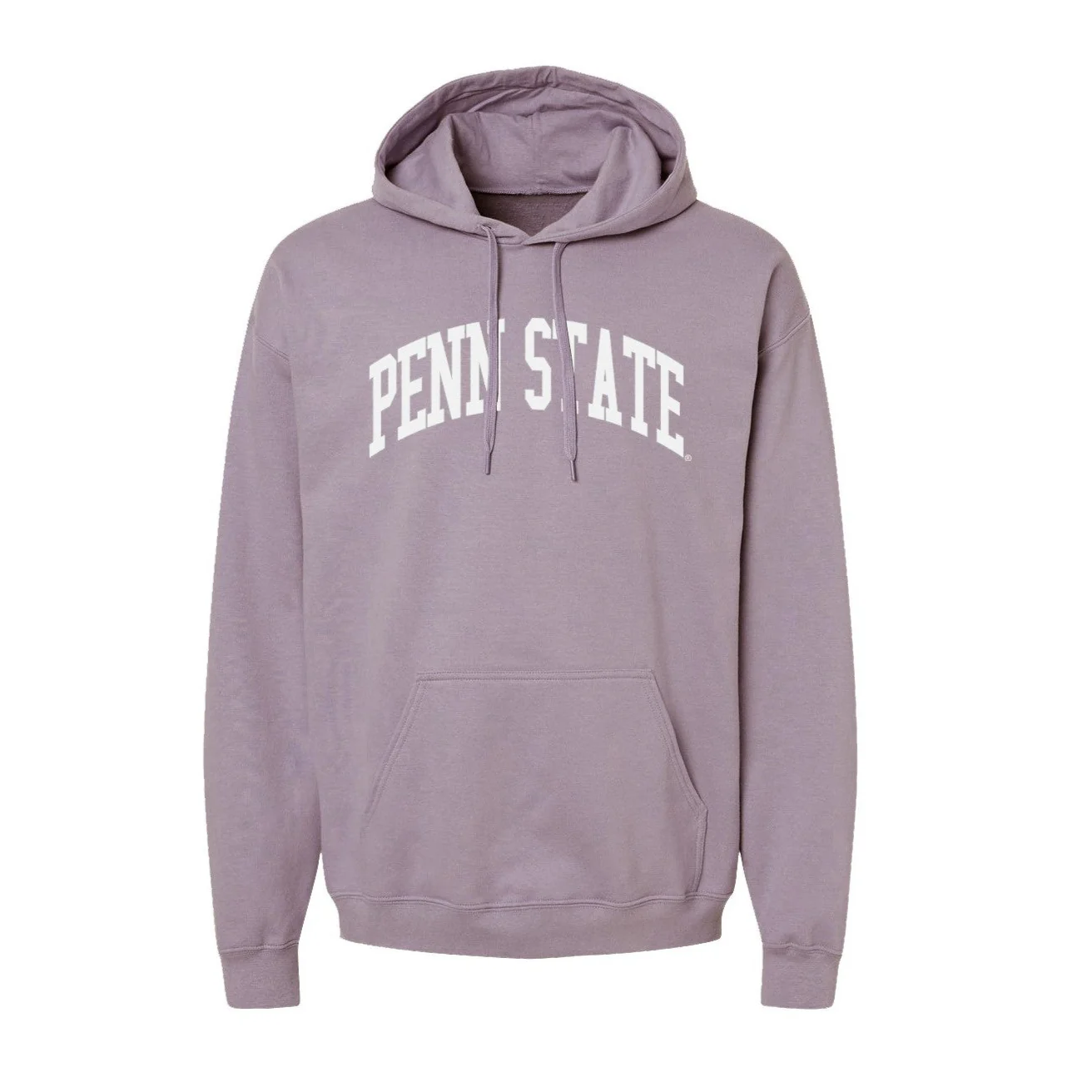 Penn State Adult Earthbound Hooded Sweatshirt - Image 4